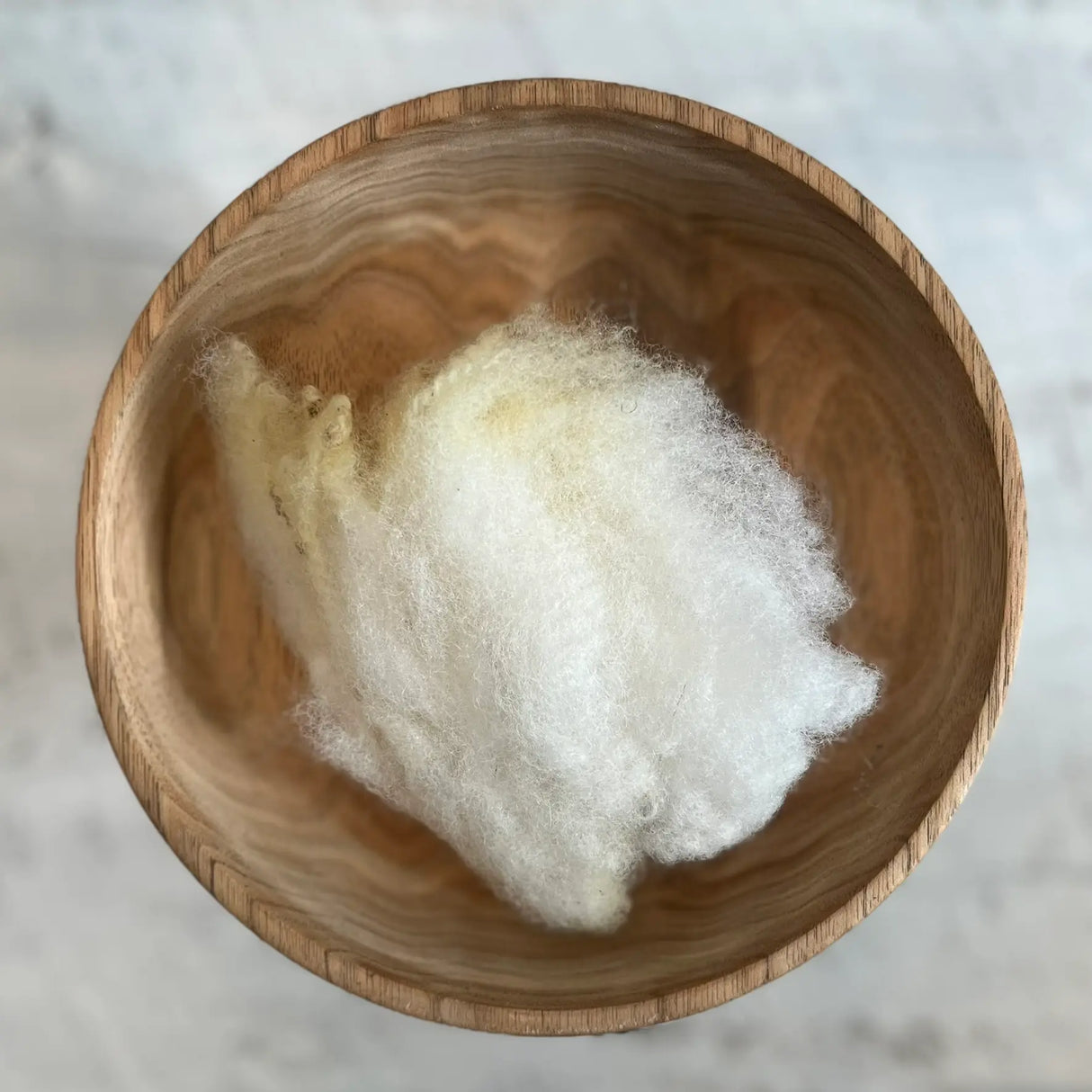 East Friesian - Lavé