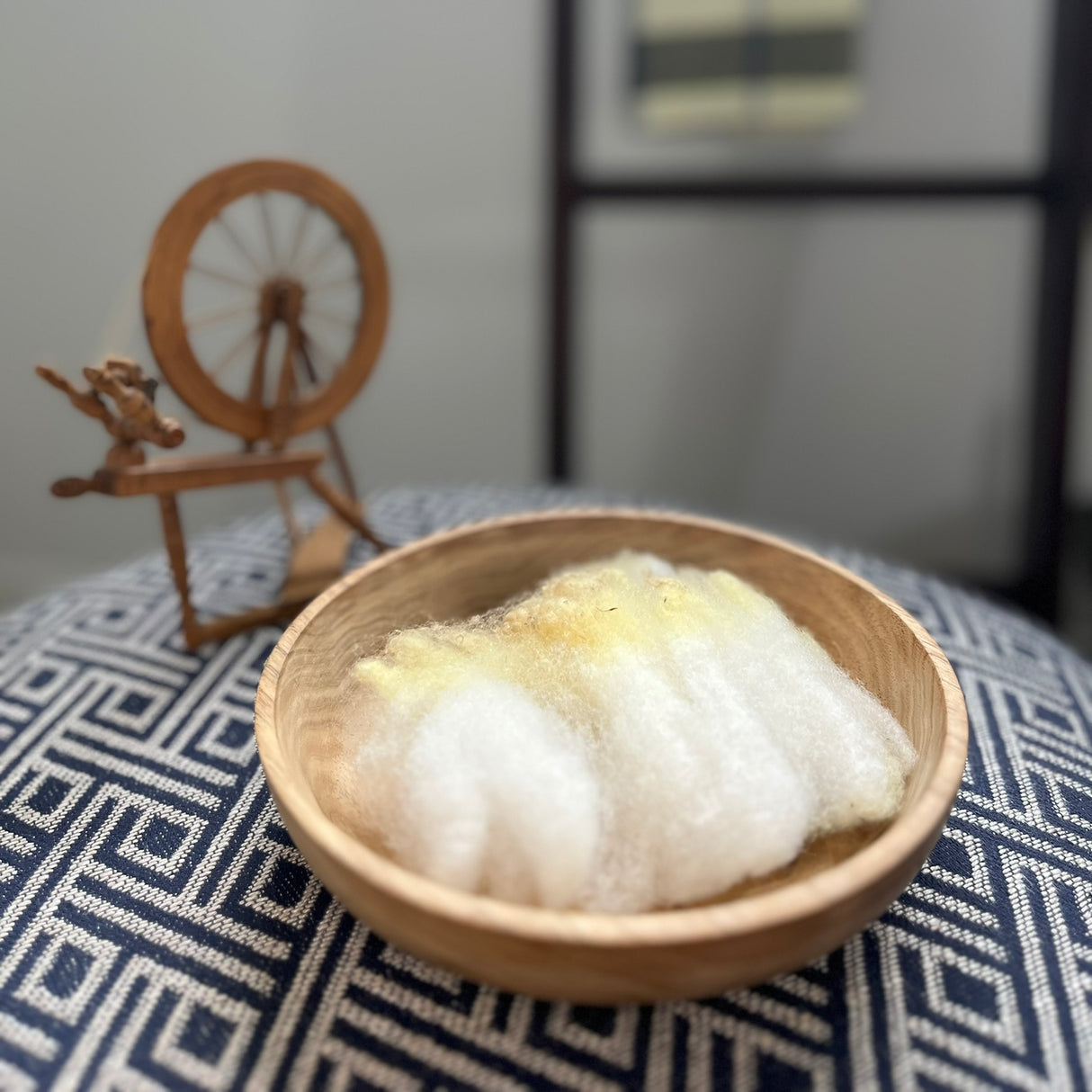 East Friesian - Lavé