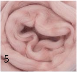 Mérinos Polonais - Kromski